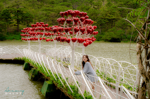 Thung Lung Tinh Yeu Da Lat