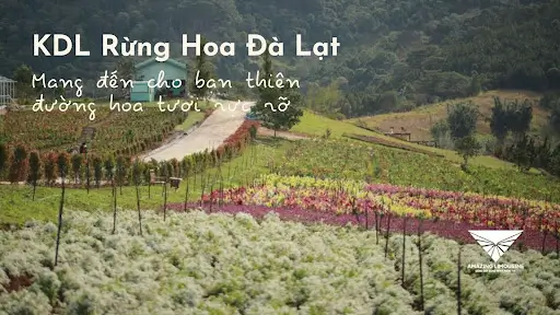 Khu Du Lich Rung Hoa Da Lat