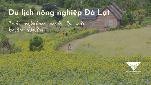 Du Lich Nong Nghiep Da Lat