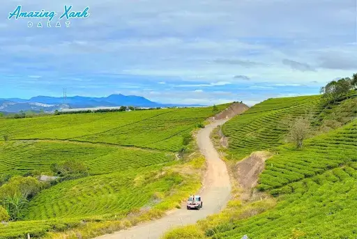 Cong Ty Cho Thue Xe Dien Vinfast Vf3 O Tai Da Lat