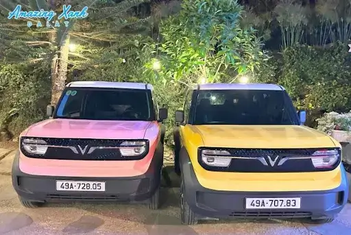 Thue Xe Vinfast Tu Lai Vf3 Da Lat Trai Nghiem Du Lich Tu Do Hien Dai