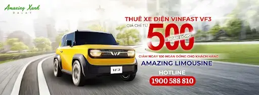 Thue Xe Vinfast Vf3 Da Lat Trai Nghiem Du Lich Xanh Hoan Hao