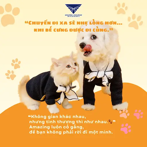 Dat Xe Limousine Di Da Lat Nhan Qua Dac Quyen Membership2