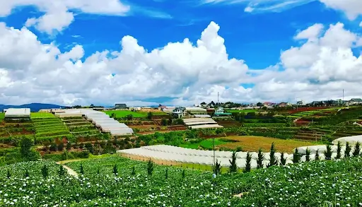 Goi Y Cung Duong Chup Anh Song Ao Bang Xe Dien Tu Amazing Xanh Da Lat