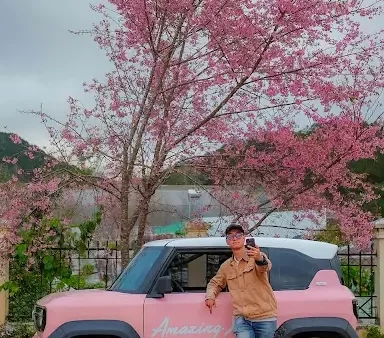 Dich Vu Thue Xe Du Lich Tu Lai Da Lat Uy Tin 2026 Trai Nghiem Xe Dien Vinfast