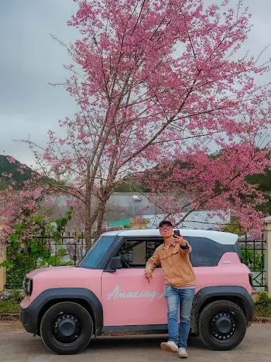 Dich Vu Thue Xe Du Lich Tu Lai Da Lat Uy Tin 2026 Trai Nghiem Xe Dien Vinfast