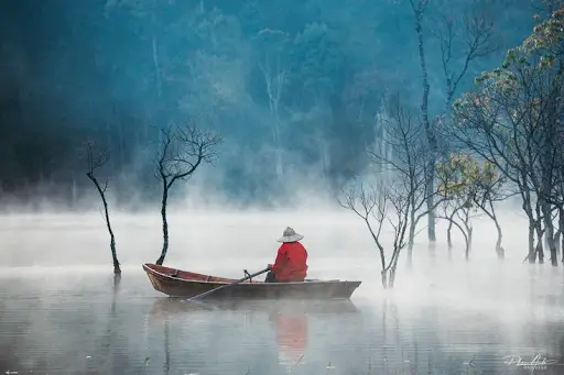 Du lịch trung tâm Đà Lạt 2025 có gì ?