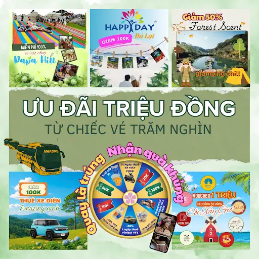 Nên Đặt Vé Xe Đi Đà Lạt Ở Đâu Uy Tín & Nhanh Nhất 2025?