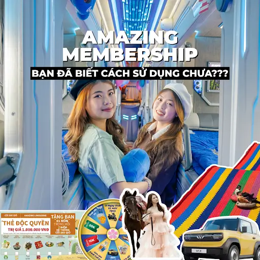 Tuyến xe đi Đà Lạt nào có phòng đôi riêng tư, tiện nghi như khách sạn 5 sao?