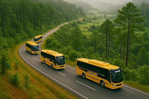 Top 5 Đơn Vị Đặt Vé Xe Đi Đà Lạt Uy Tín Nào Làm Bạn Hài Lòng Nhất Năm 2025?
